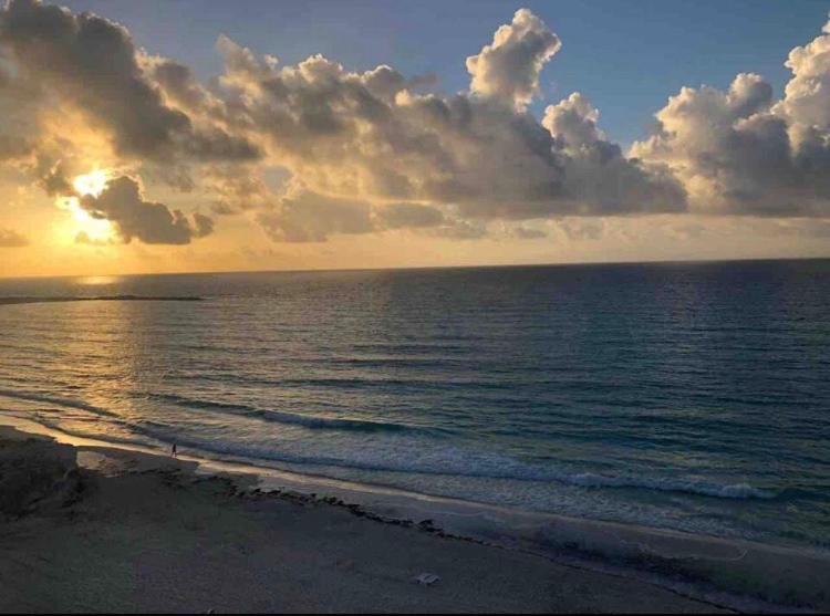 קנקון Studio Oceanfront Prime Location מראה חיצוני תמונה